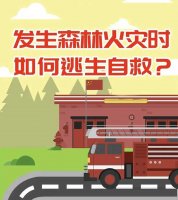 發(fā)生森林火災(zāi)時如何逃生自救？